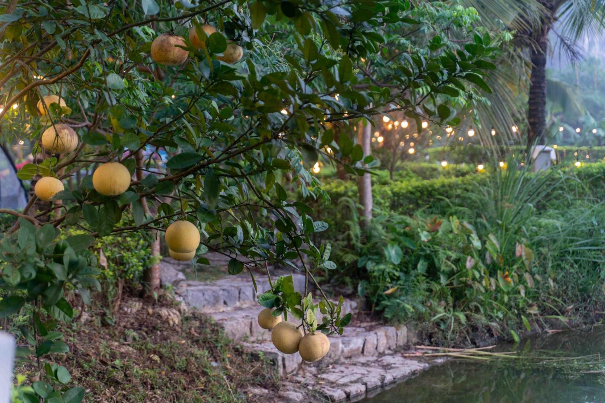 The Goat Boutique Resort Ninh Binh Exteriér fotografie